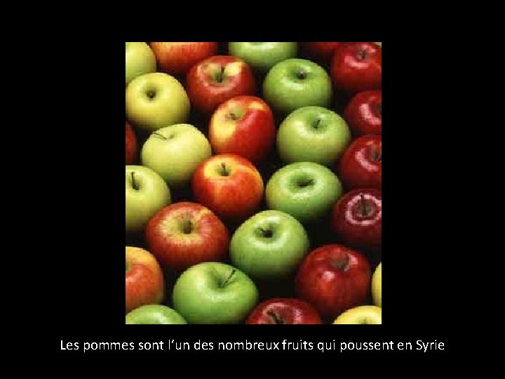 Les pommes sont l’un des nombreux fruits qui poussent en Syrie 