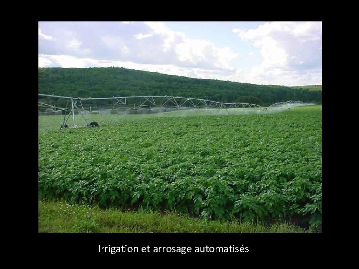 Irrigation et arrosage automatisés 