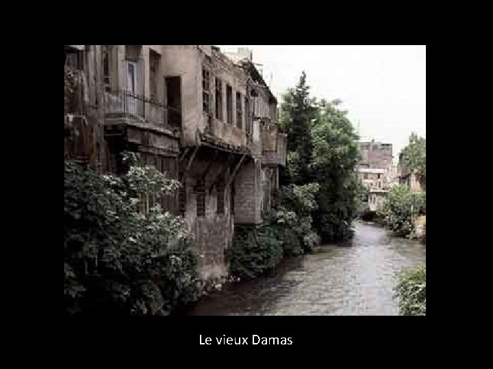 Le vieux Damas 