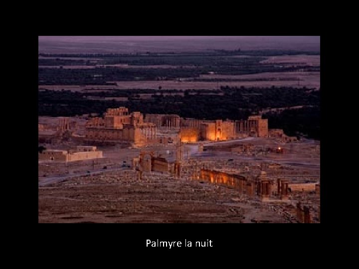 Palmyre la nuit 