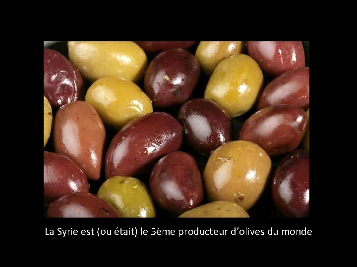 La Syrie est (ou était) le 5ème producteur d’olives du monde 