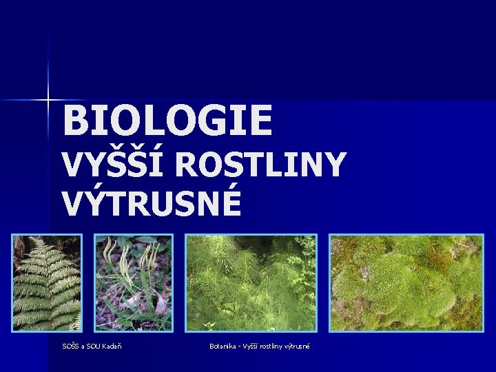 BIOLOGIE VYŠŠÍ ROSTLINY VÝTRUSNÉ SOŠS a SOU Kadaň Botanika - Vyšší rostliny výtrusné 