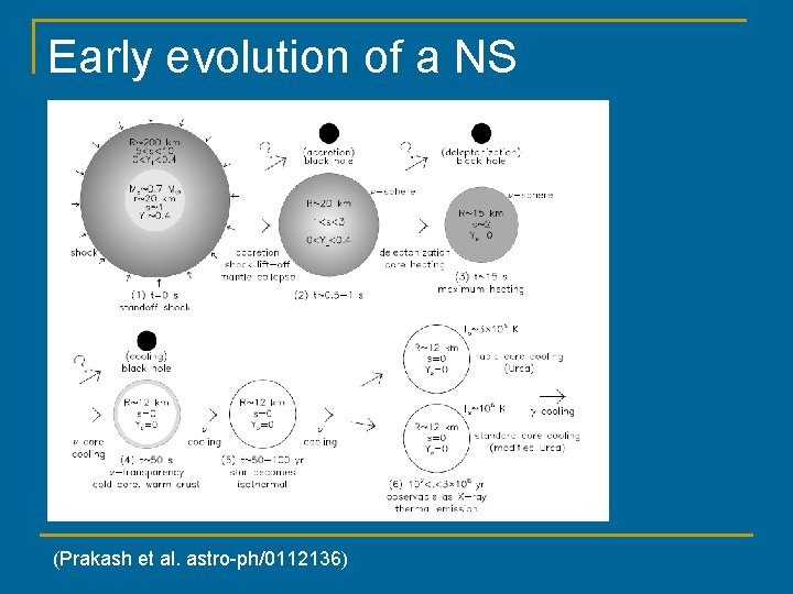 Early evolution of a NS (Prakash et al. astro-ph/0112136) 