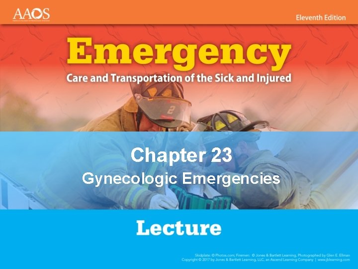 Chapter 23 Gynecologic Emergencies 