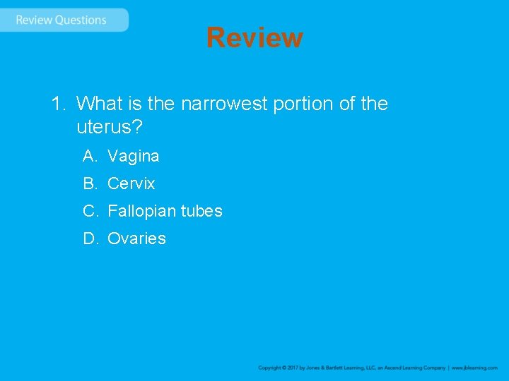 Review 1. What is the narrowest portion of the uterus? A. Vagina B. Cervix