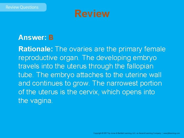 Review Answer: B Rationale: The ovaries are the primary female reproductive organ. The developing