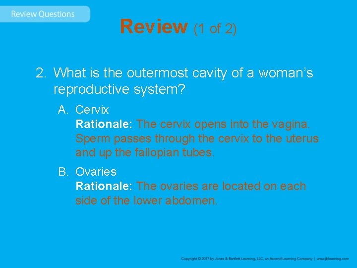 Review (1 of 2) 2. What is the outermost cavity of a woman’s reproductive