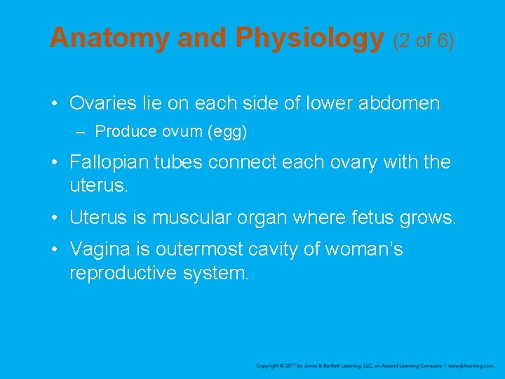 Anatomy and Physiology (2 of 6) • Ovaries lie on each side of lower