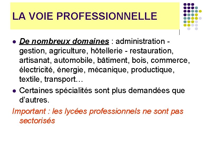 LA VOIE PROFESSIONNELLE De nombreux domaines : administration gestion, agriculture, hôtellerie - restauration, artisanat,