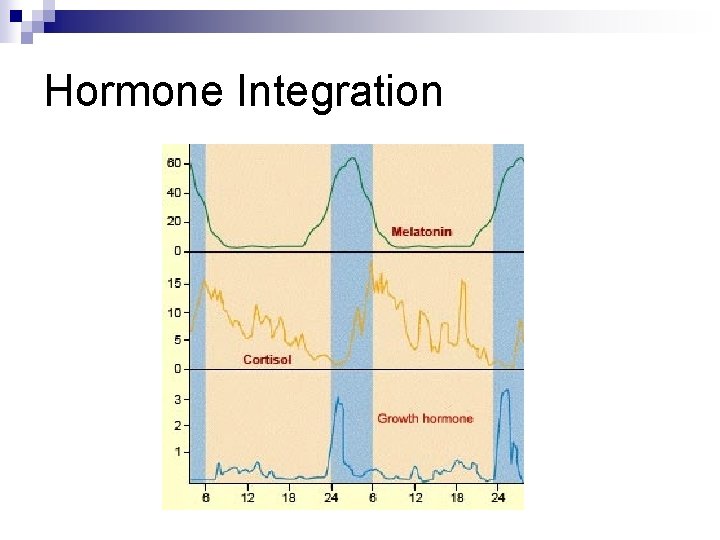 Hormone Integration 