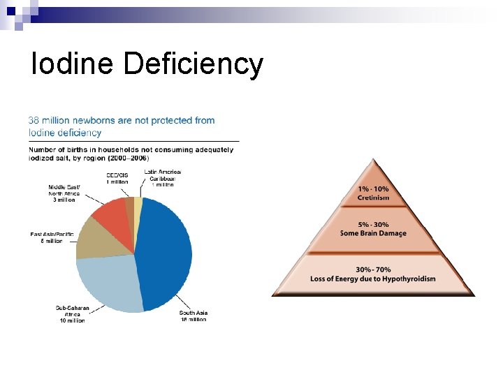 Iodine Deficiency 