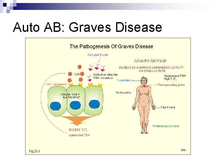 Auto AB: Graves Disease 