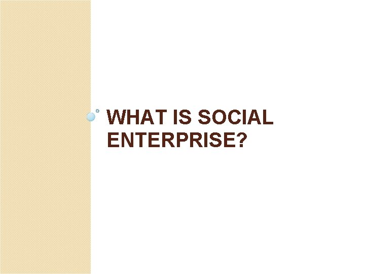 WHAT IS SOCIAL ENTERPRISE? 