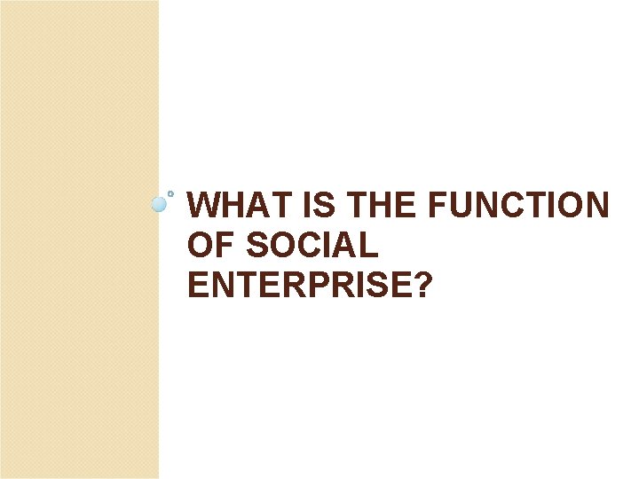 WHAT IS THE FUNCTION OF SOCIAL ENTERPRISE? 