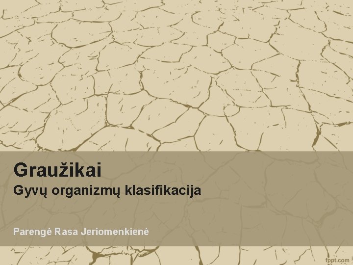 Graužikai Gyvų organizmų klasifikacija Parengė Rasa Jeriomenkienė 