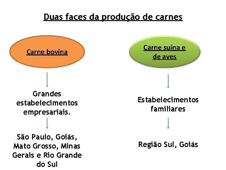 Duas faces da produção de carnes Carne bovina Grandes estabelecimentos empresariais. São Paulo, Goiás,