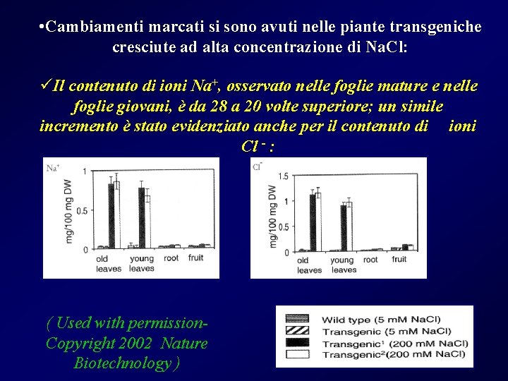 • Cambiamenti marcati si sono avuti nelle piante transgeniche cresciute ad alta concentrazione