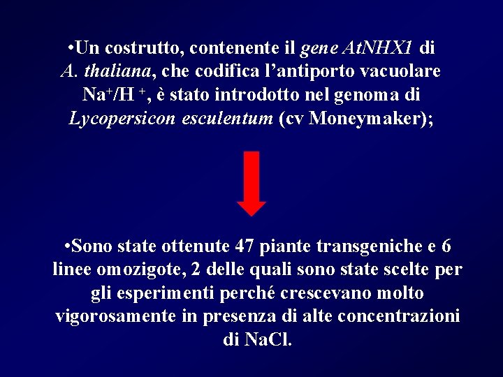  • Un costrutto, contenente il gene At. NHX 1 di A. thaliana, che