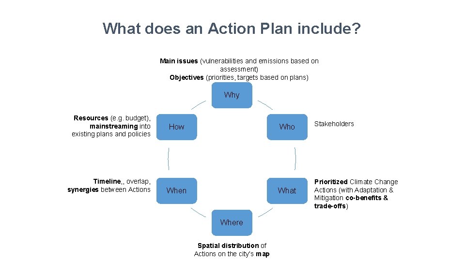 What does an Action Plan include? Main issues (vulnerabilities and emissions based on assessment)