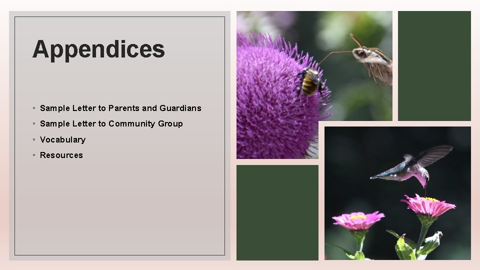 Appendices ◦ Sample Letter to Parents and Guardians ◦ Sample Letter to Community Group