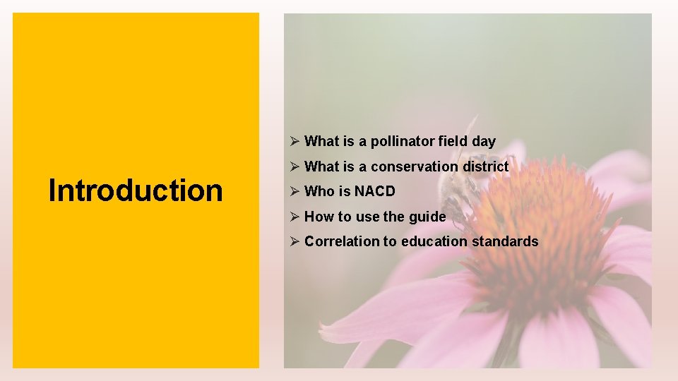 Ø What is a pollinator field day Introduction Ø What is a conservation district