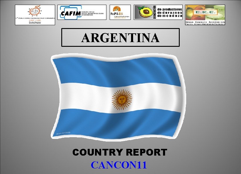 ARGENTINA COUNTRY REPORT CANCON 11 
