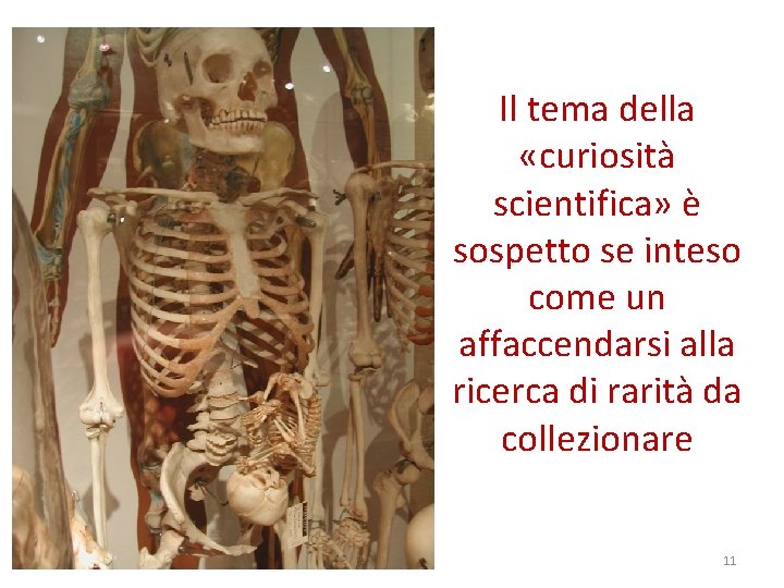 Il tema della «curiosità scientifica» è sospetto se inteso come un affaccendarsi alla ricerca