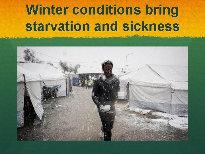Winter conditions bring starvation and sickness 