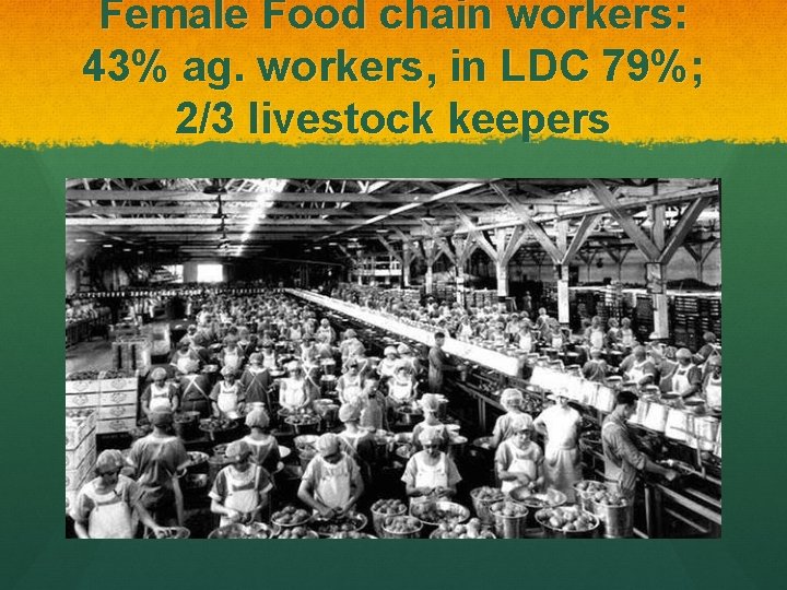Female Food chain workers: 43% ag. workers, in LDC 79%; 2/3 livestock keepers 