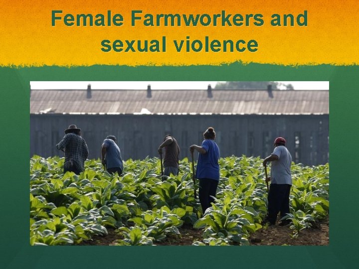 Female Farmworkers and sexual violence 