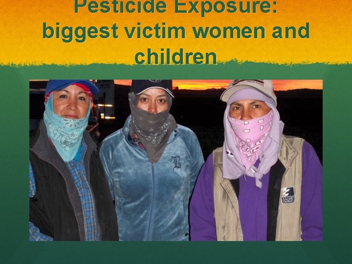 Pesticide Exposure: biggest victim women and children 