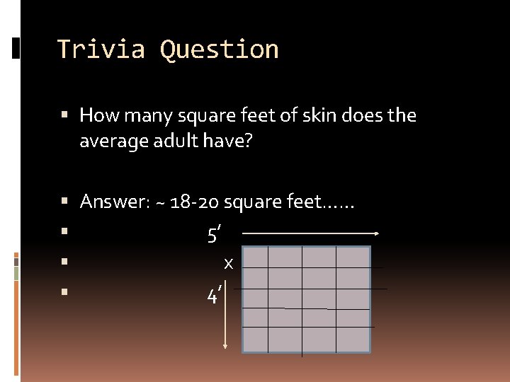 Trivia Question How many square feet of skin does the average adult have? Answer: