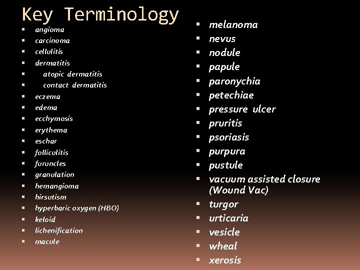 Key Terminology angioma carcinoma cellulitis dermatitis atopic dermatitis contact dermatitis eczema edema ecchymosis erythema