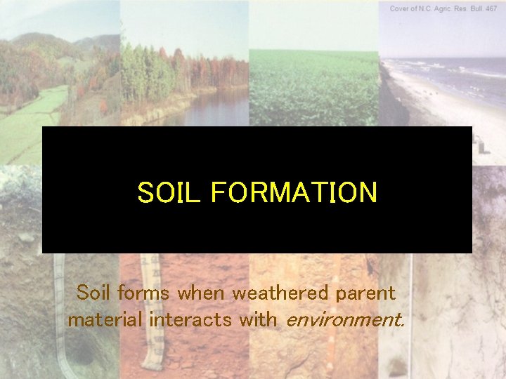 SOIL FORMATION Soil forms when weathered parent material interacts with environment. 