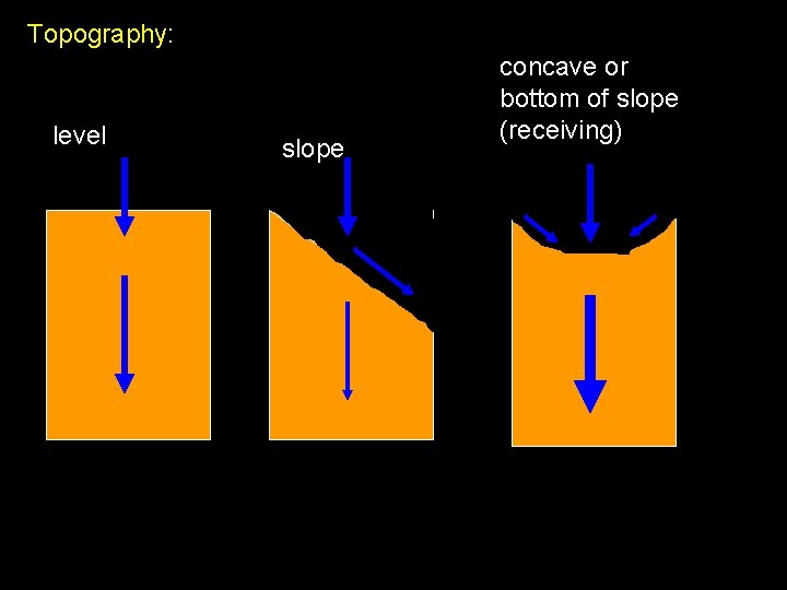 Topography: level slope concave or bottom of slope (receiving) 