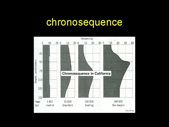 chronosequence 