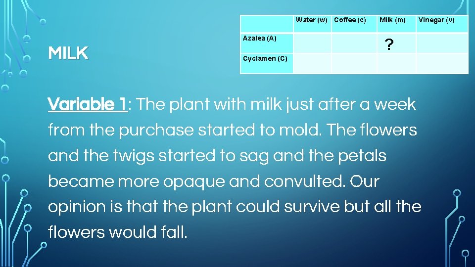 Azalea (A) MILK Cyclamen (C) Water (w) Coffee (c) Milk (m) Vinegar (v) ?