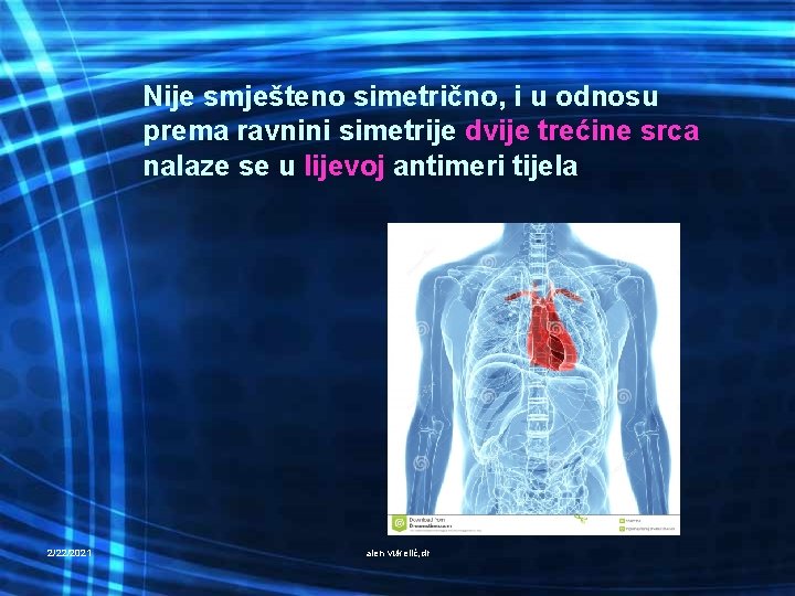 Nije smješteno simetrično, i u odnosu prema ravnini simetrije dvije trećine srca nalaze se