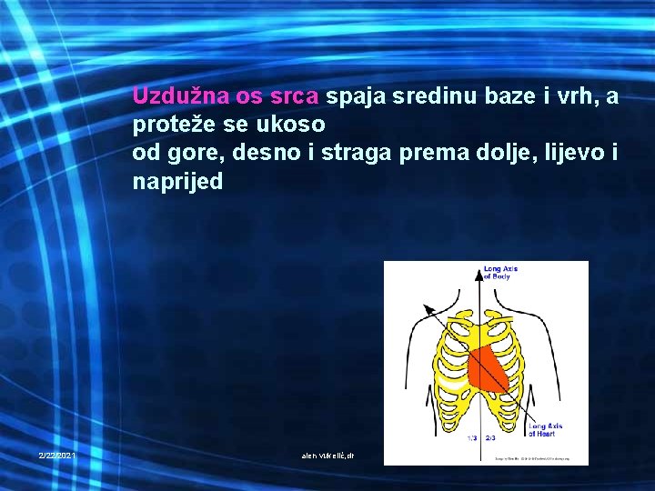 Uzdužna os srca spaja sredinu baze i vrh, a proteže se ukoso od gore,