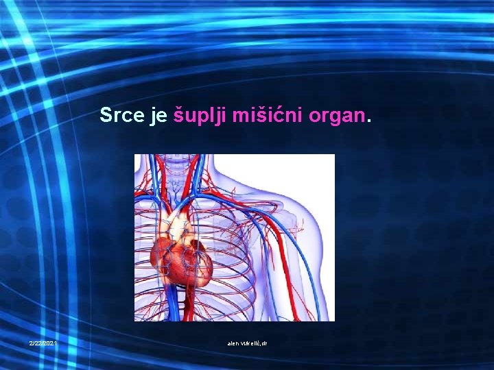 Srce je šuplji mišićni organ. 2/22/2021 alen vukelić, dr 