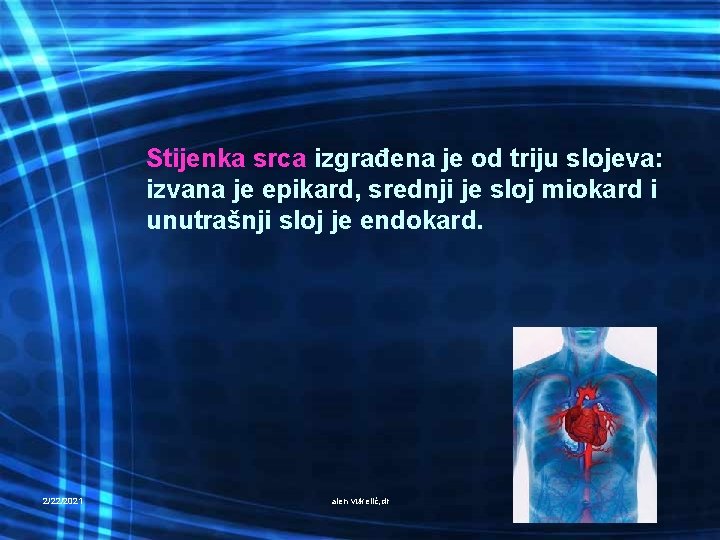 Stijenka srca izgrađena je od triju slojeva: izvana je epikard, srednji je sloj miokard