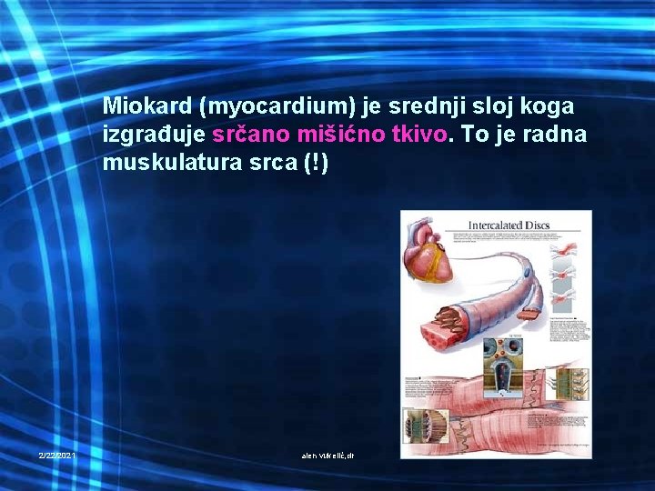 Miokard (myocardium) je srednji sloj koga izgrađuje srčano mišićno tkivo. To je radna muskulatura