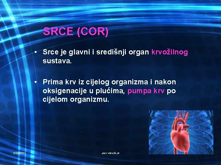 SRCE (COR) • Srce je glavni i središnji organ krvožilnog sustava. • Prima krv