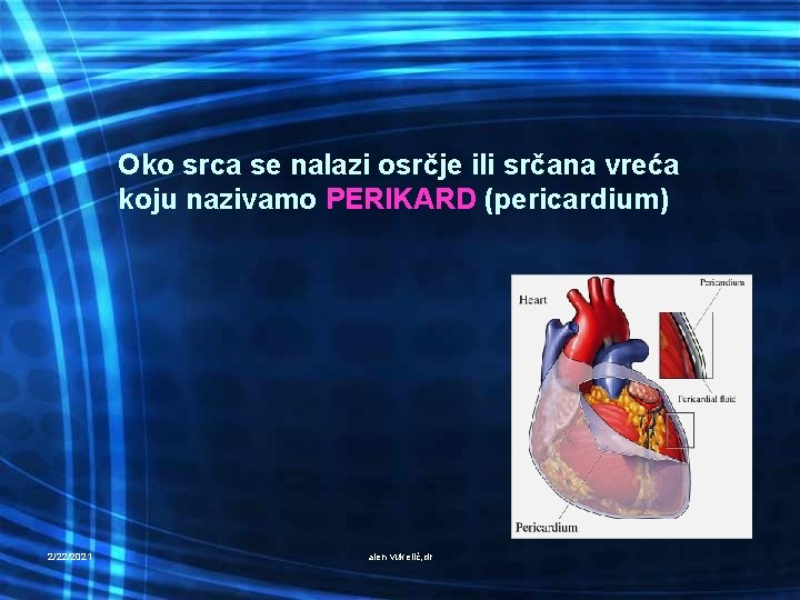 Oko srca se nalazi osrčje ili srčana vreća koju nazivamo PERIKARD (pericardium) 2/22/2021 alen