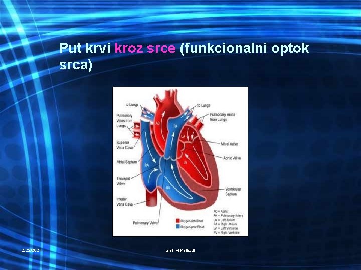 Put krvi kroz srce (funkcionalni optok srca) 2/22/2021 alen vukelić, dr 