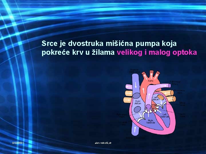 Srce je dvostruka mišićna pumpa koja pokreće krv u žilama velikog i malog optoka