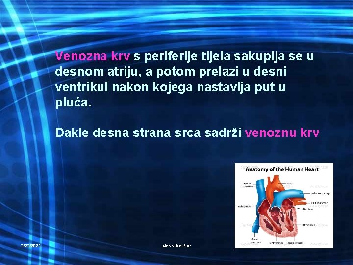 Venozna krv s periferije tijela sakuplja se u desnom atriju, a potom prelazi u