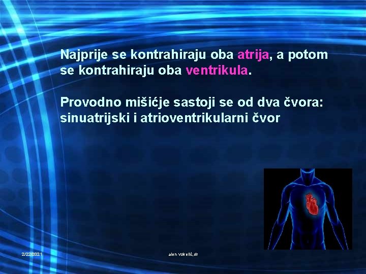 Najprije se kontrahiraju oba atrija, a potom se kontrahiraju oba ventrikula. Provodno mišićje sastoji