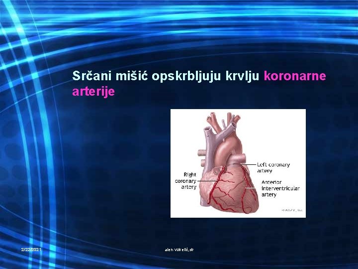 Srčani mišić opskrbljuju krvlju koronarne arterije 2/22/2021 alen vukelić, dr 