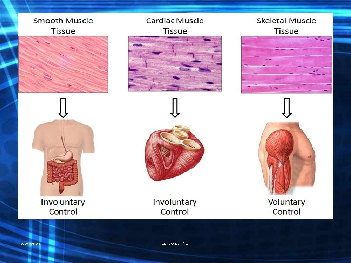 2/22/2021 alen vukelić, dr 